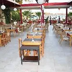 Anil