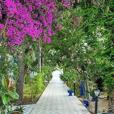 Anil Hotel 3*